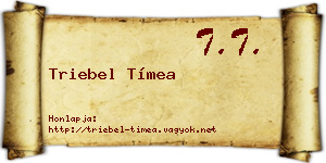 Triebel Tímea névjegykártya