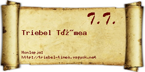 Triebel Tímea névjegykártya